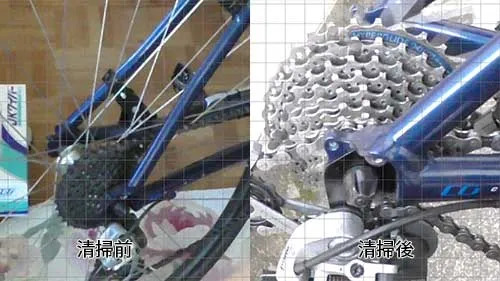 洗浄前と後の比較
